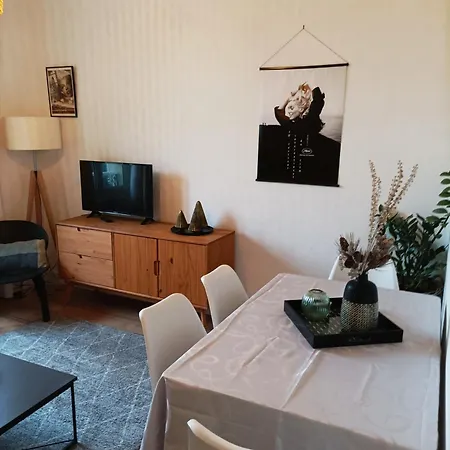 Apartament Le Salvator *